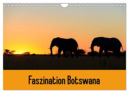 Faszination Botswana (Wandkalender 2024 DIN A4 quer), CALVENDO Monatskalender von CALVENDO