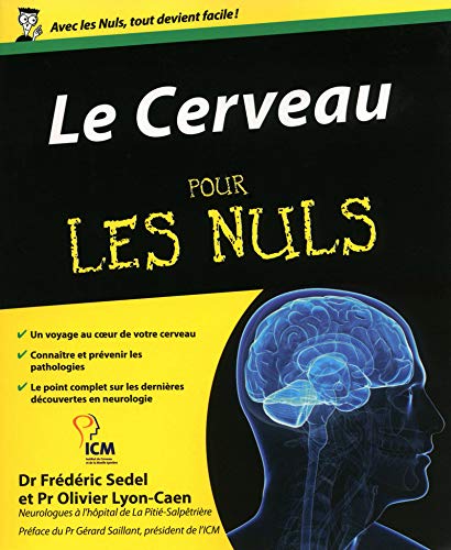 Le Cerveau pour les nuls von Editions First
