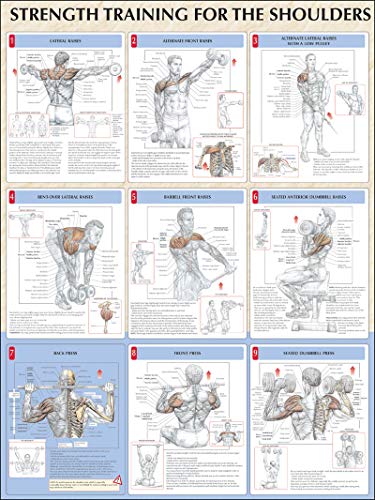 Strength Training for the Shoulders (Strength Training Anatomy) von Human Kinetics, Inc.