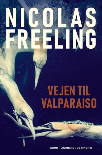 Vejen til Valparaiso Vejen til Valparaiso von Lindhardt og Ringhof