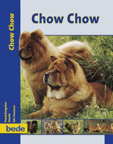 Chow Chow, Praxisratgeber