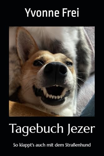 Tagebuch Jezer: So klappt's auch mit dem Straßenhund