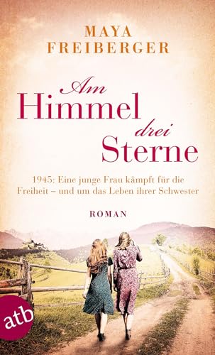 Am Himmel drei Sterne: Roman