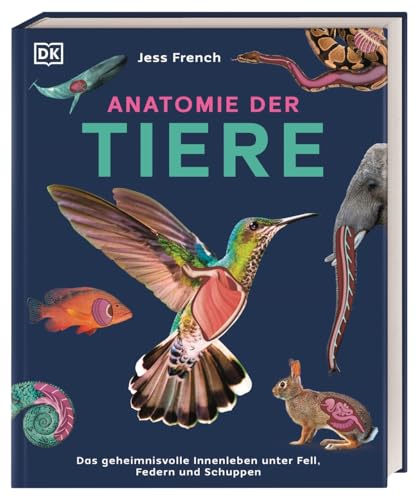 Anatomie der Tiere: Das geheimnisvolle Innenleben unter Fell, Federn und Schuppen. Tieranatomie großartig visuell aufbereitet. Für Kinder ab 7 Jahren von Dorling Kindersley Verlag