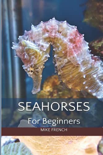 Seahorses For Beginners von CreateSpace Independent Publishing Platform