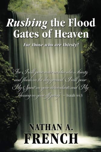 Rushing the Flood Gates of Heaven: For those who are thirsty! von Aviva Publishing