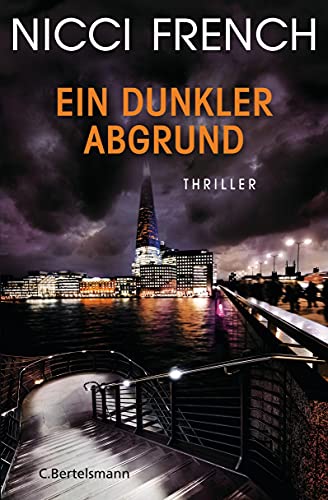 Ein dunkler Abgrund: Thriller