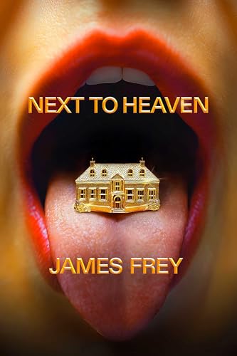 Next to Heaven: The PROVOCATIVE new novel from BESTSELLING author of A Million Little Pieces von Swift Press