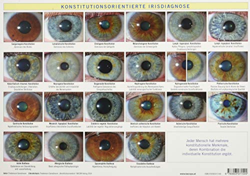 Konstitutionsorientierte Irisdiagnose: A4 Tafel
