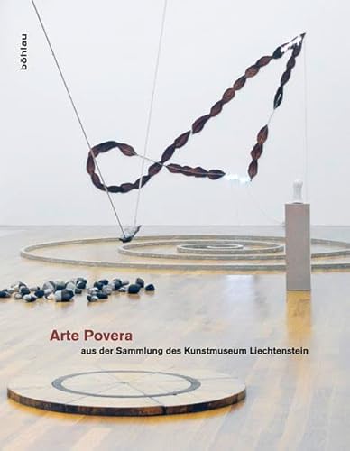 Arte Povera: Aus der Sammlung des Kunstmuseum Liechtenstein von Unbekannt