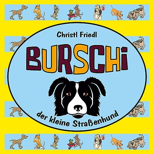 Burschi: der kleine Straßenhund