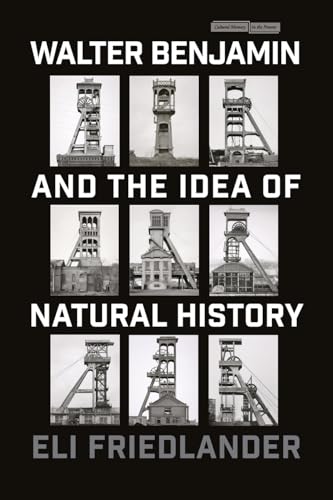 Walter Benjamin and the Idea of Natural History (Cultural Memory in the Present) von Stanford University Press