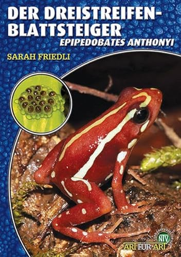 Der Dreistreifen-Blattsteiger: Epipedobates anthonyi (Buchreihe Art für Art Terraristik) von Natur und Tier