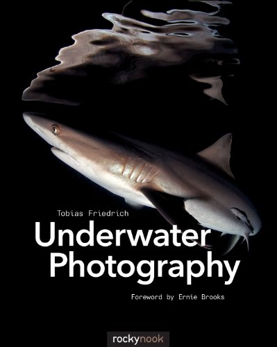 Underwater Photograhy