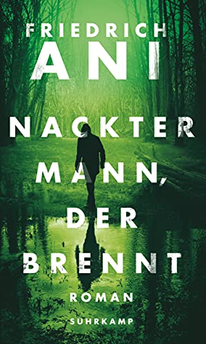 Nackter Mann, der brennt: Roman