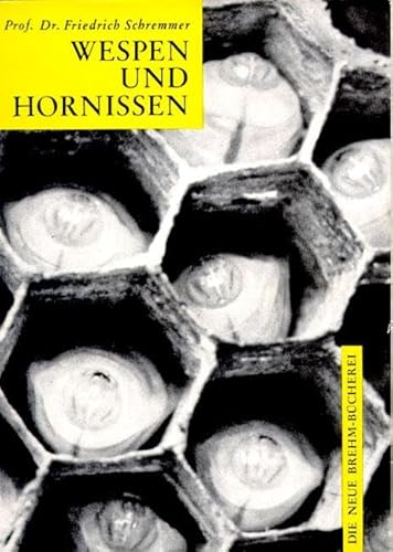 Wespen und Hornissen: Die einheimischen sozialen Faltenwespen Wespen und Hornissen: Die einheimischen sozialen Faltenwespen