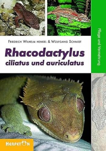 Rhacodactylus ciliatus und auriculatus: Pflege und Vermehrung Rhacodactylus ciliatus und auriculatus: Pflege und Vermehrung von Herpeton Verlag