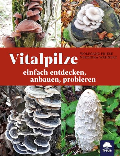 Vitalpilze: einfach entdecken, anbauen, probieren Vitalpilze: einfach entdecken, anbauen, probieren von Freya