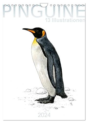 Pinguine - 13 Illustrationen (Wandkalender 2024 DIN A4 hoch), CALVENDO Monatskalender von CALVENDO