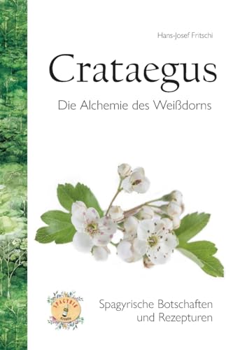 Crataegus: Die Alchemie des Weißdorns
