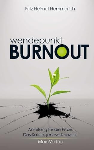 Wendepunkt Burnout: Anleitung für die Praxis. Das Salutogenese-Konzept: Anleitungen für die Praxis " Das Salutogenese-Konzept