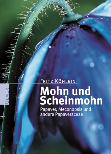 Mohn und Scheinmohn: Papaver, Meconopsis und andere Papaveraceae (Pflanzen-Monographien) von Ulmer Eugen Verlag
