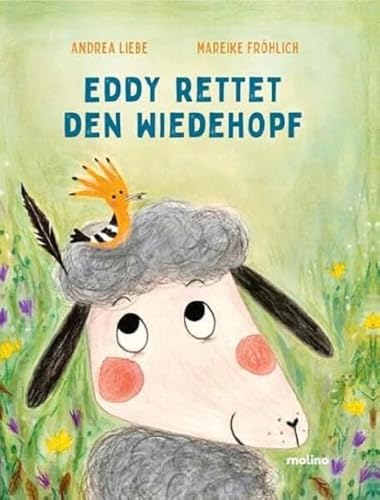 Eddy rettet den Wiedehopf von Molino Verlag GmbH