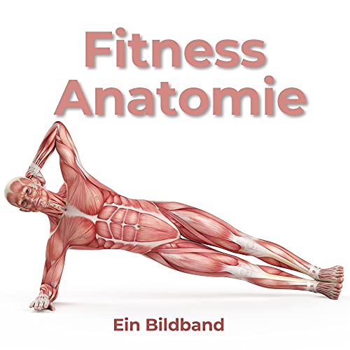 Fitness Anatomie: Ein Bildband von 27amigos