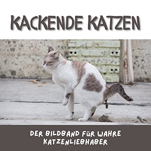 Kackende Katzen: Der Bildband für wahre Katzenliebhaber von 27amigos