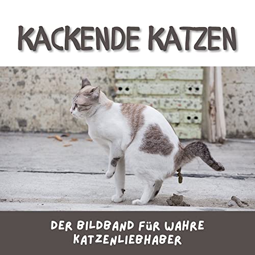 Kackende Katzen: Der Bildband für wahre Katzenliebhaber von 27 Amigos