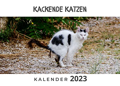 Kackende Katzen: Kalender 2023 Kackende Katzen: Kalender 2023 von 27amigos