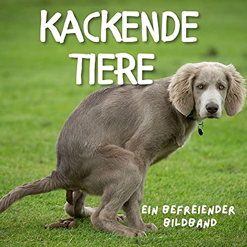 Kackende Tiere: Ein befreiender Bildband von 27 Amigos