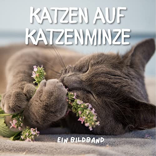 Katzen auf Katzenminze: Ein Bildband von 27amigos