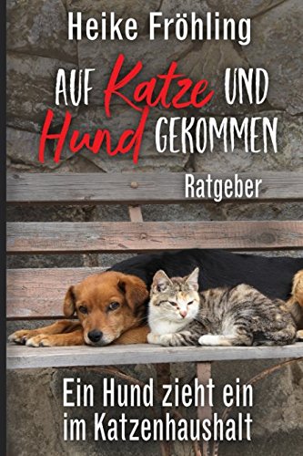 Auf Katze und Hund gekommen: Ein Hund zieht ein im Katzenhaushalt – Ratgeber