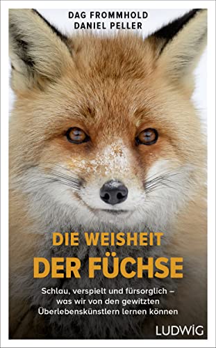 Die Weisheit der Füchse: Schlau, verspielt und fürsorglich – was wir von den gewitzten Überlebenskünstlern lernen können