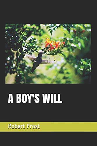 A BOY'S WILL A BOY'S WILL von Independently Published