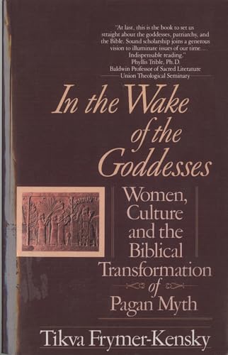 In the Wake of the Goddesses: Women, Culture and the Biblical Transformation of Pagan Myth von Ballantine Books