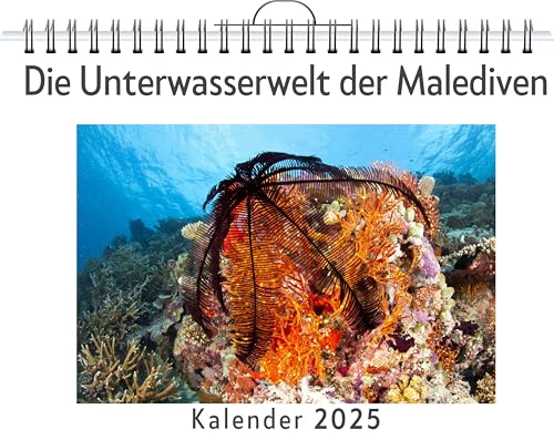 Die Unterwasserwelt der Malediven - (Wandkalender 2025, Kalender DIN A4 quer, Monatskalender im Querformat mit Kalendarium, das perfekte Geschenk) von FlipFlop