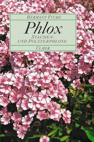 Phlox: Stauden- und Polsterphlox