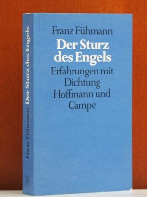 Der Sturz des Engels: Erfahrungen m. Dichtung von Hoffmann und Campe