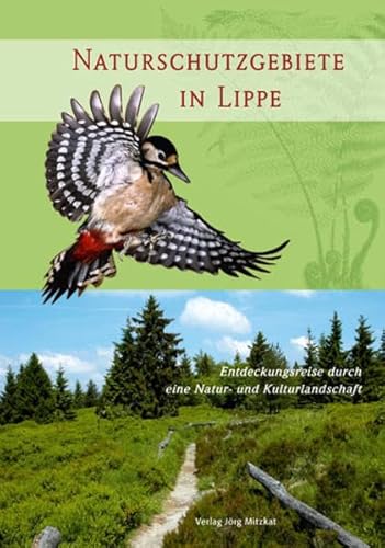 Naturschutzgebiete in Lippe: Entdeckungsreise durch eine Natur- und Kulturlandschaft