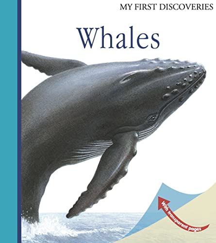 Whales (My First Discoveries)
