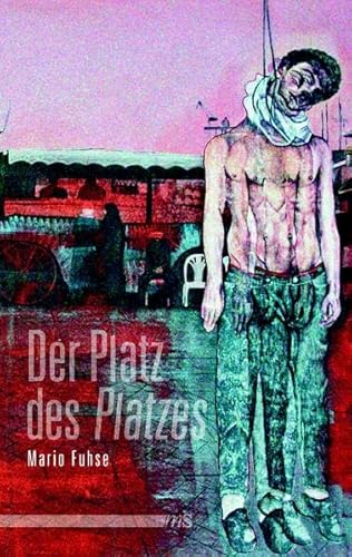 Der Platz des "Platzes": Gestalt- und raumtheoretische Kontextualisierungen zu Hubert Fichtes Roman "Der Platz der Gehenkten" von Männerschwarm, Salzgeber Buchverlage GmbH