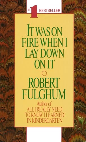 It Was On Fire When I Lay Down On It von Ivy Books