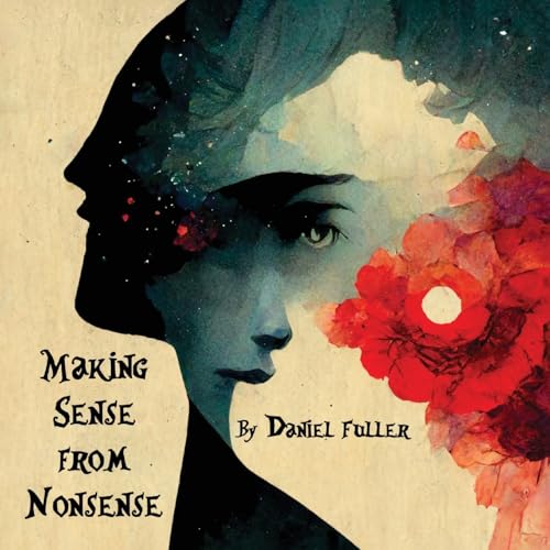 Making Sense From Nonsense Making Sense From Nonsense von FriesenPress