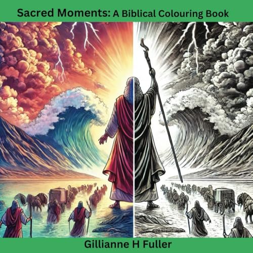 Sacred Moments: A Biblical Colouring journey von Fulcar Publishing