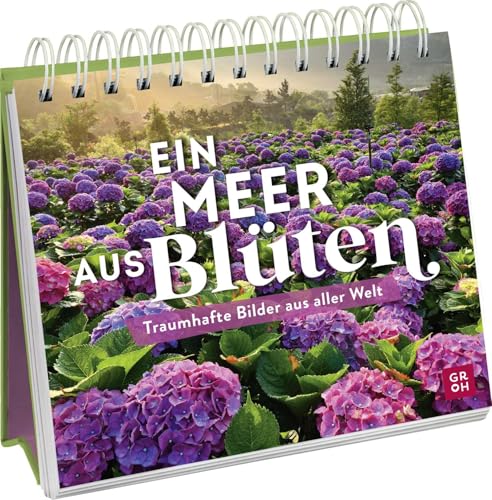 Ein Meer aus Blüten: Traumhafte Bilder aus aller Welt | Deko-Aufsteller mit zauberhafter Blütenpracht (Geschenke für Naturliebhaber und Gartenfreunde)