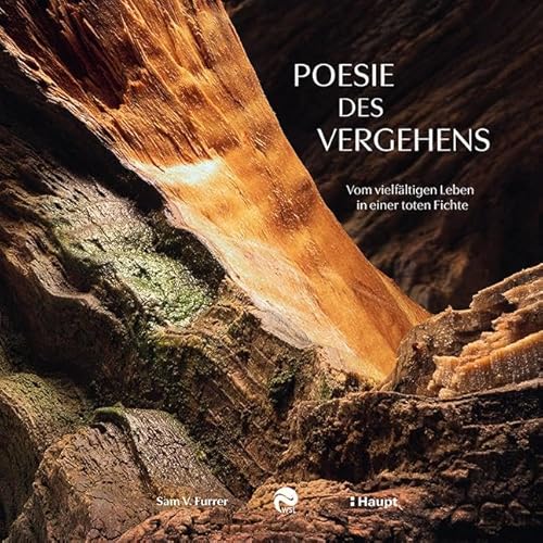 Poesie des Vergehens: Vom vielfältigen Leben in einer toten Fichte