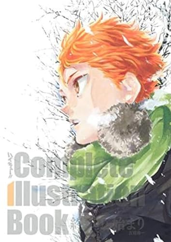HAIKYU COMPLETE ILLUSTRATIONS ARTBOOK: Complete illustration book - Fin & début HAIKYU COMPLETE ILLUSTRATIONS ARTBOOK: Complete illustration book - Fin & début von Crunchyroll