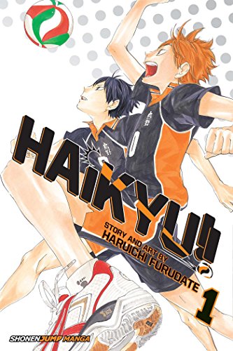 Haikyu!!, Vol. 1: Hinata and Kageyama (HAIKYU GN, Band 1)